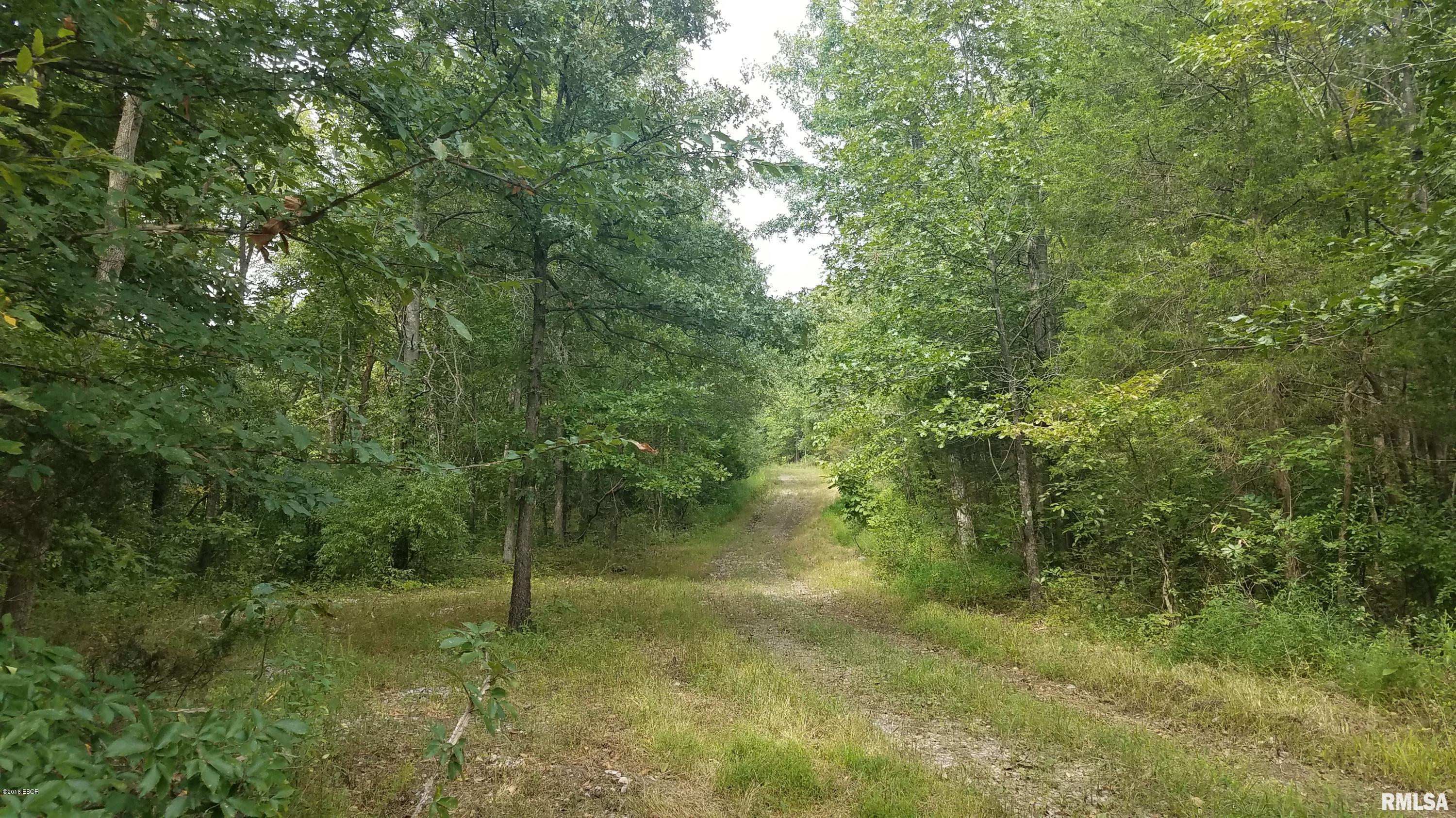 0 Buffalo Lick Road Marion, IL 62959 - Photo 9 of 12
