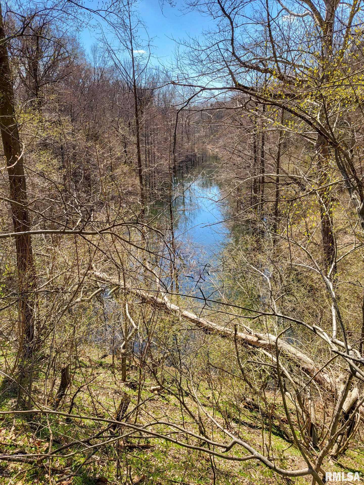 0 Buffalo Lick Road Marion, IL 62959 - Photo 10 of 12