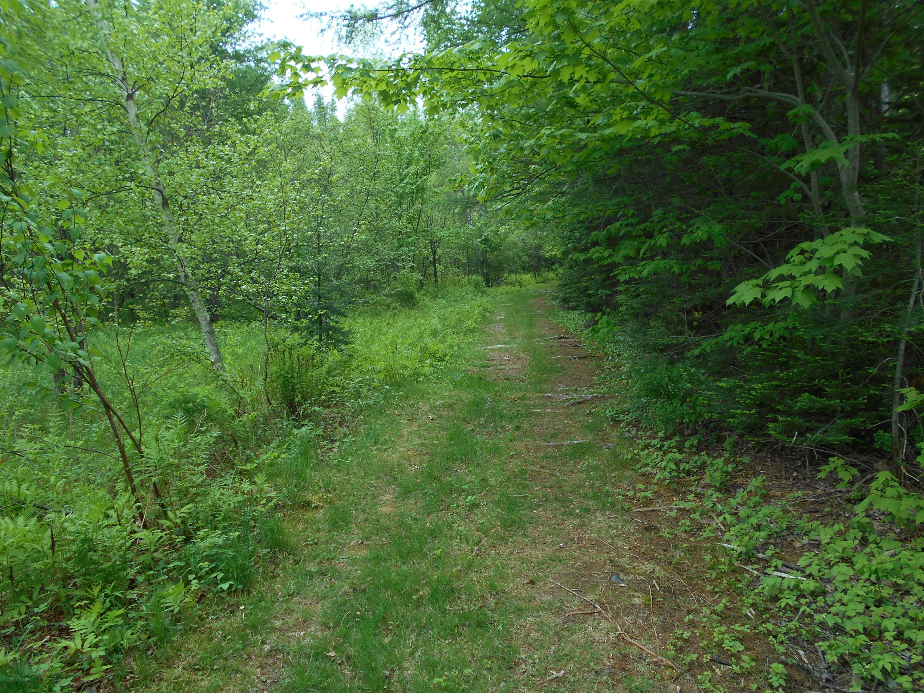 840 North Chester Road Lincoln, ME 04457 - Photo 31 of 68 DSCN7781