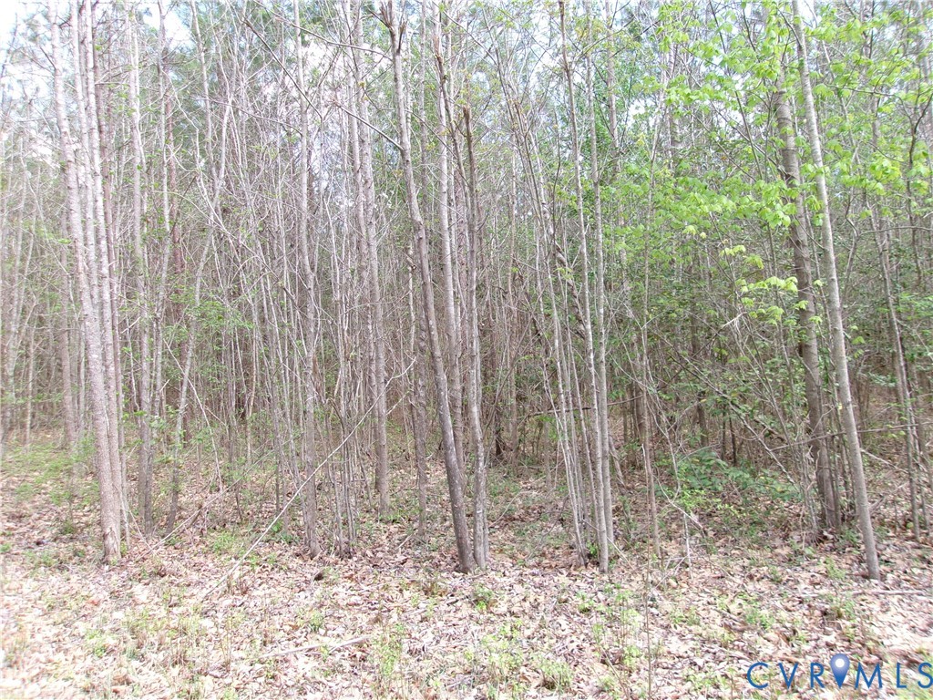 69-6)-2 Lew Jones Road Dewitt, VA 23840 - Photo 1 of 2