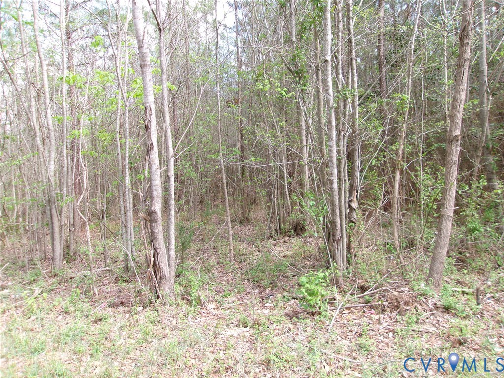 69-6)-2 Lew Jones Road Dewitt, VA 23840 - Photo 2 of 2