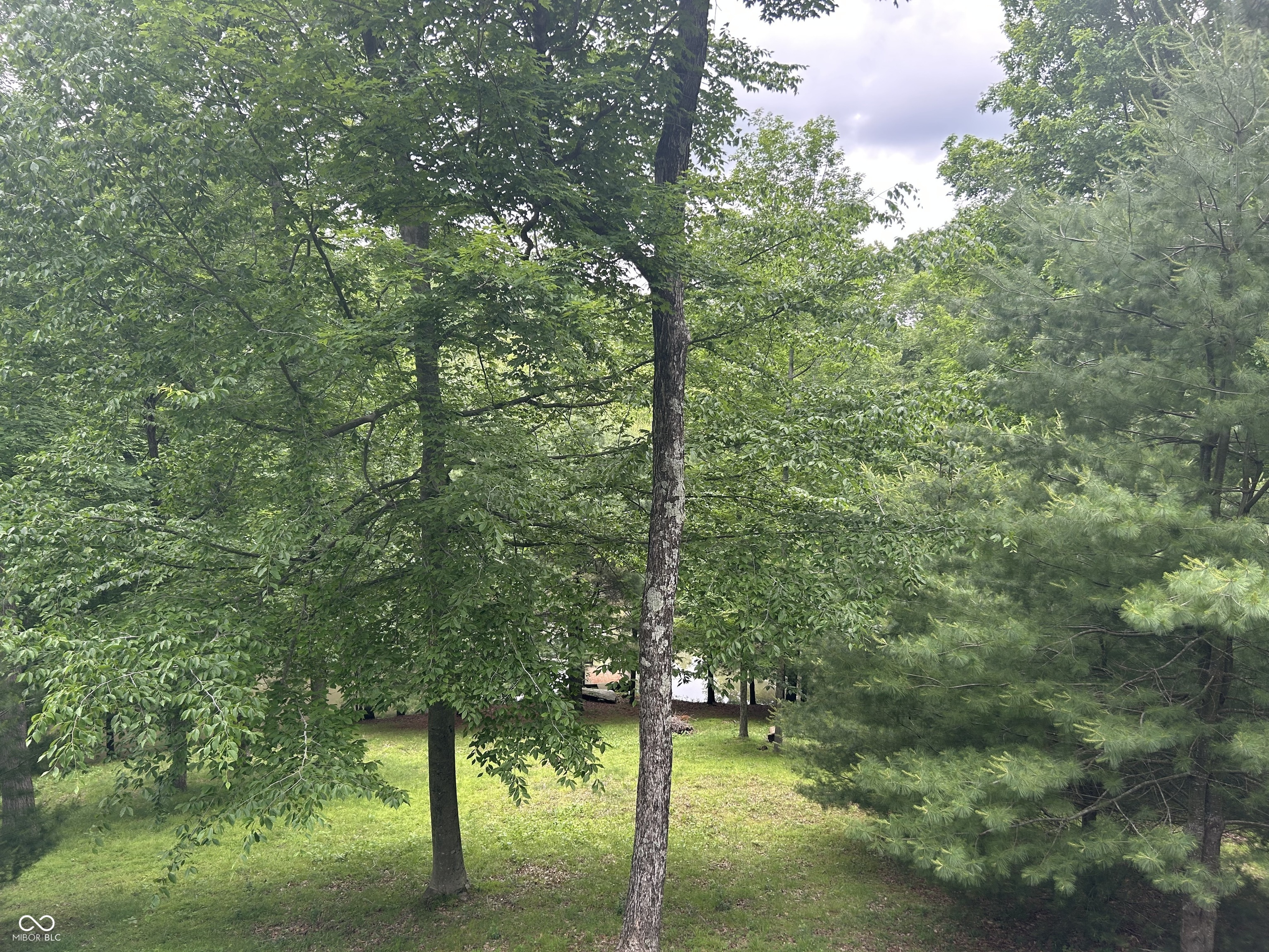 7680 Beech Tree Road Nineveh, IN 46164 - Photo 22 of 23