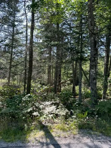 $29,000 | 200 Eastbrook Road, Eastbrook, ME 04634