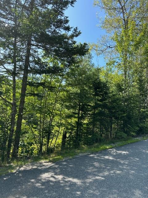 200 Eastbrook Road Eastbrook, ME 04634 - Photo 2 of 2 rt 200-2