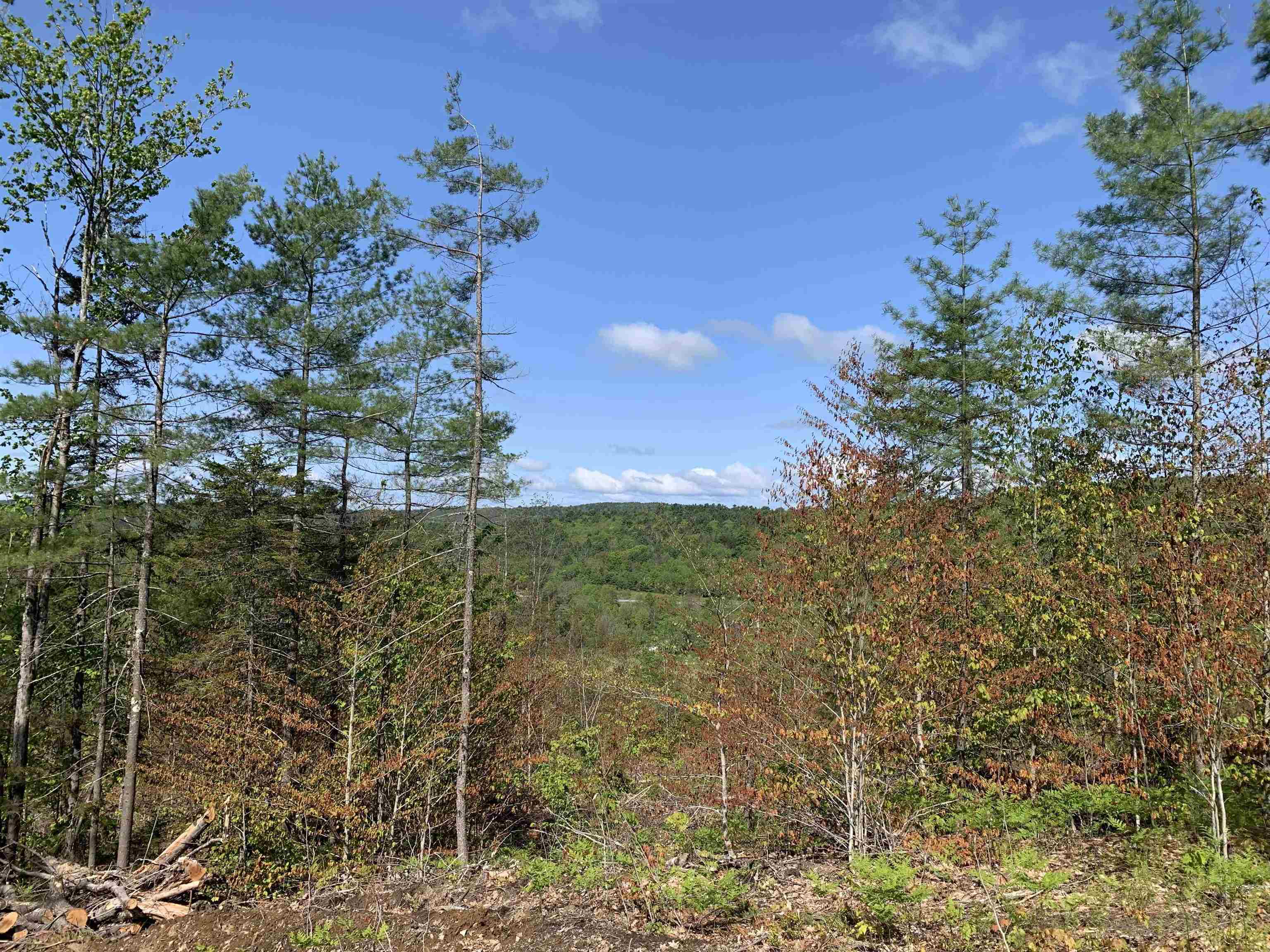 Lot 96-1 Granite Lake Road Nelson, NH 03457 - Photo 13 of 23 Gallery Image 13