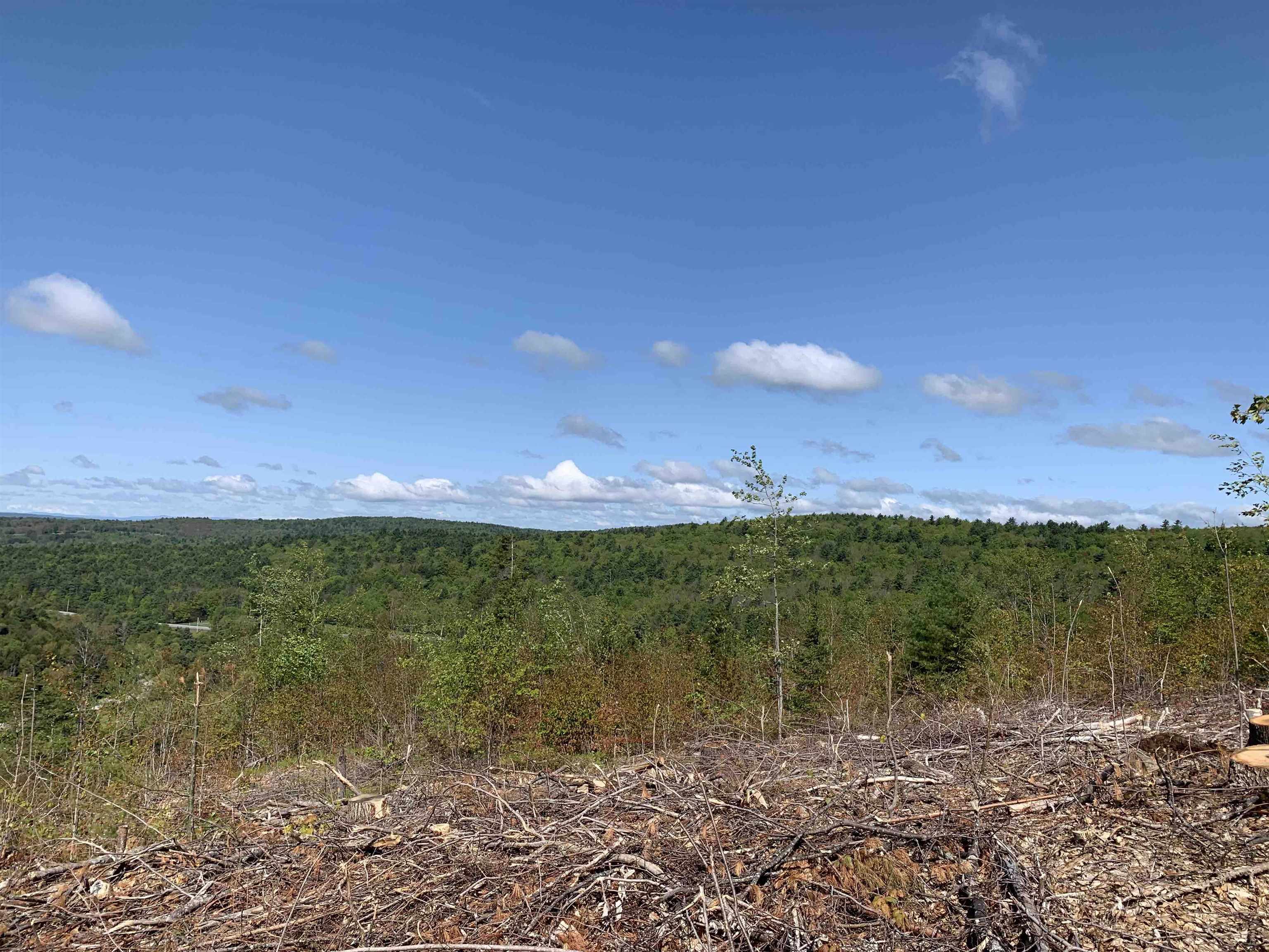 Lot 96-1 Granite Lake Road Nelson, NH 03457 - Photo 16 of 23 Gallery Image 16