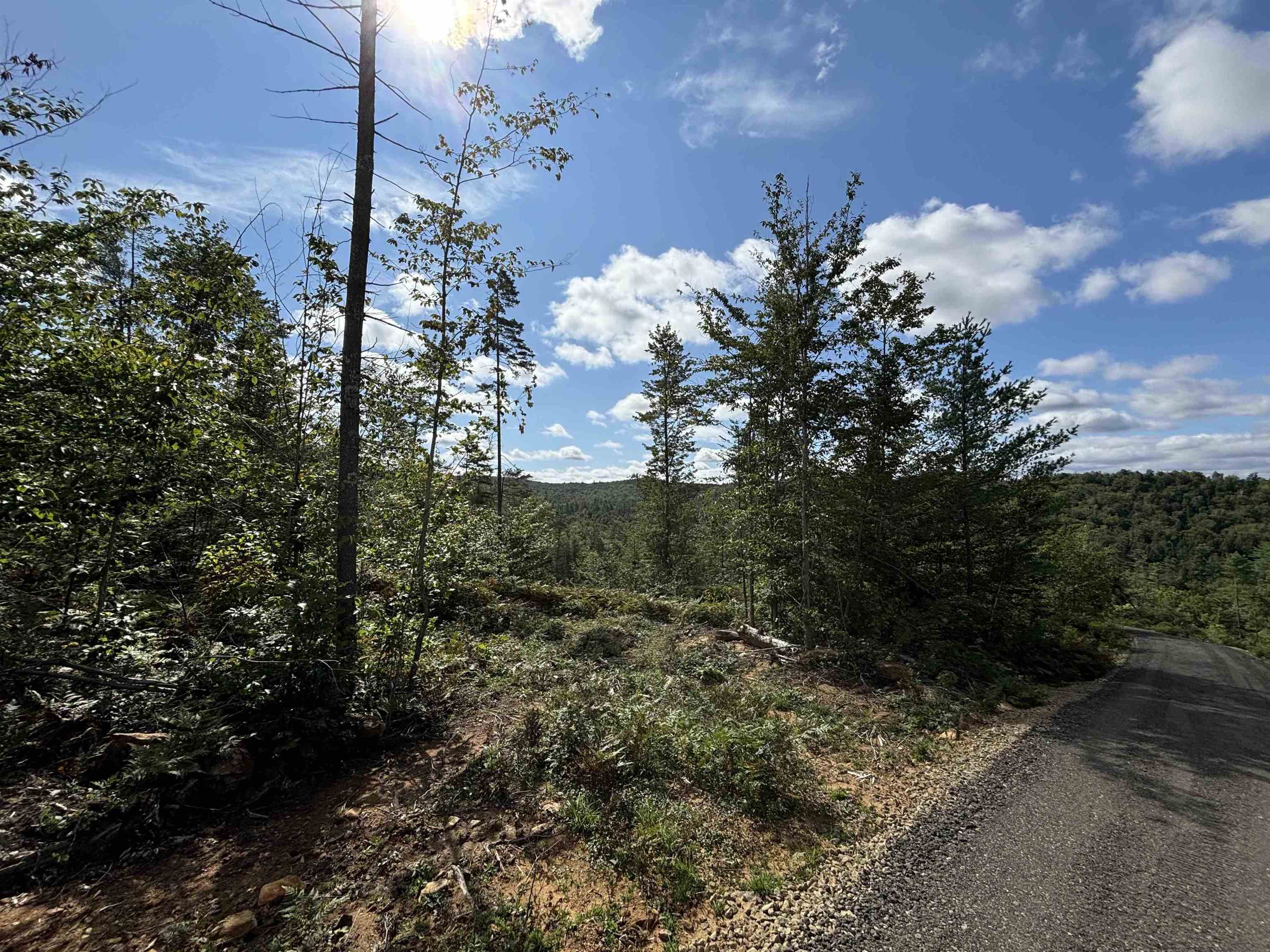 Lot 96-1 Granite Lake Road Nelson, NH 03457 - Photo 5 of 23 Gallery Image 5