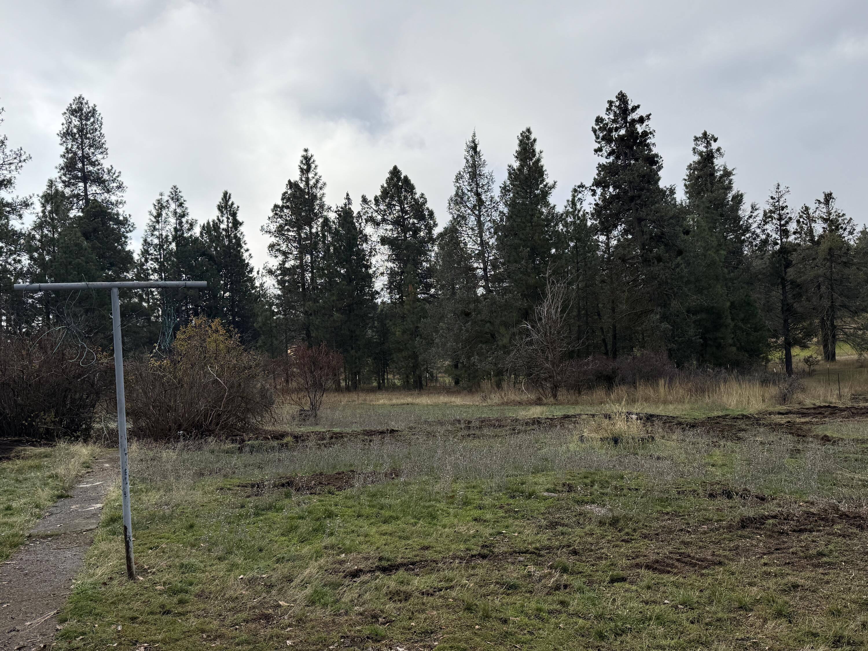 43045 Bridge Street Fall River Mills, CA 96028 - Photo 24 of 24 IMG_5142