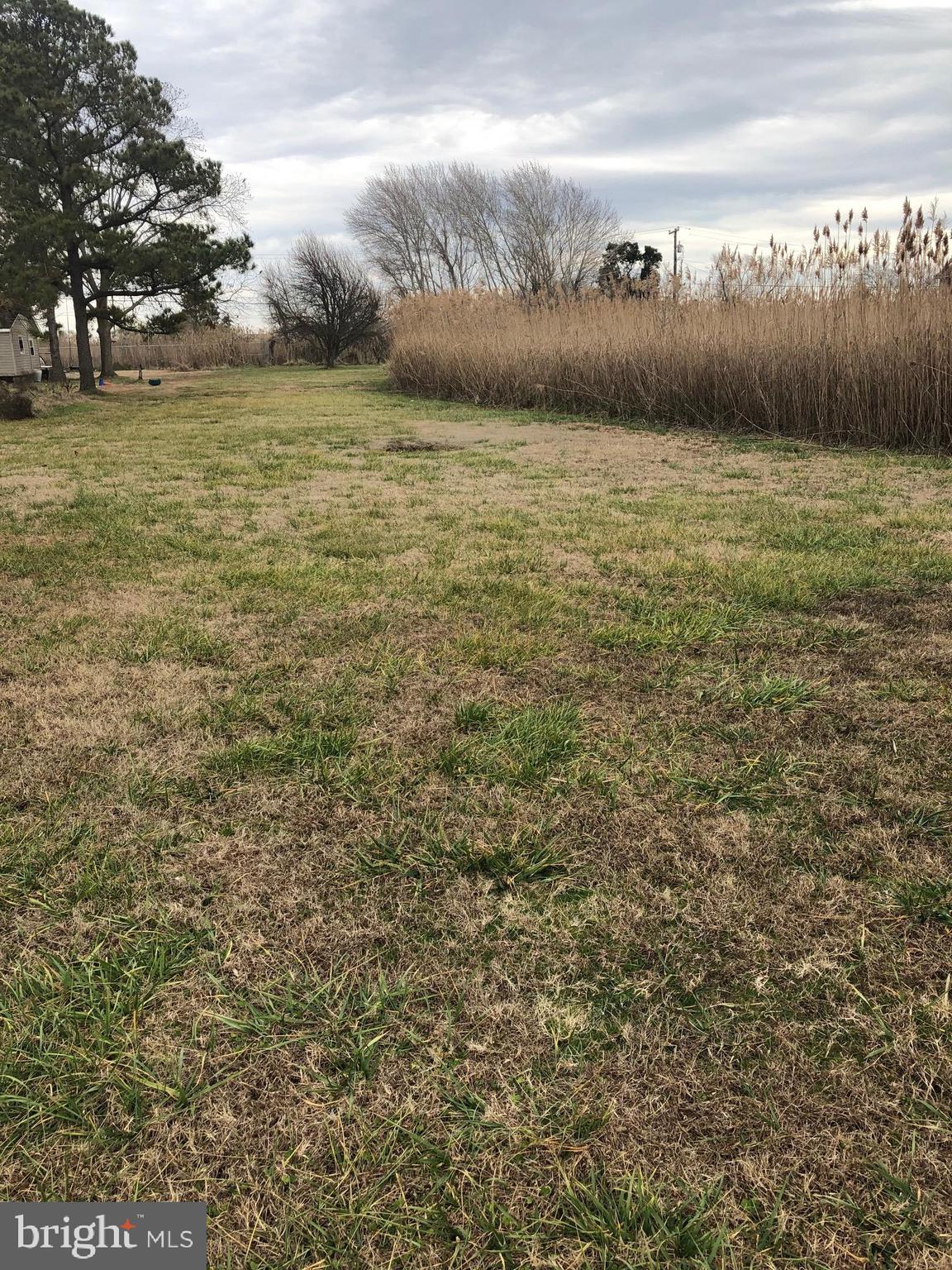 8962 Deal Island Road Deal Island, MD 21821 - Photo 27 of 27 Gallery Image 27
