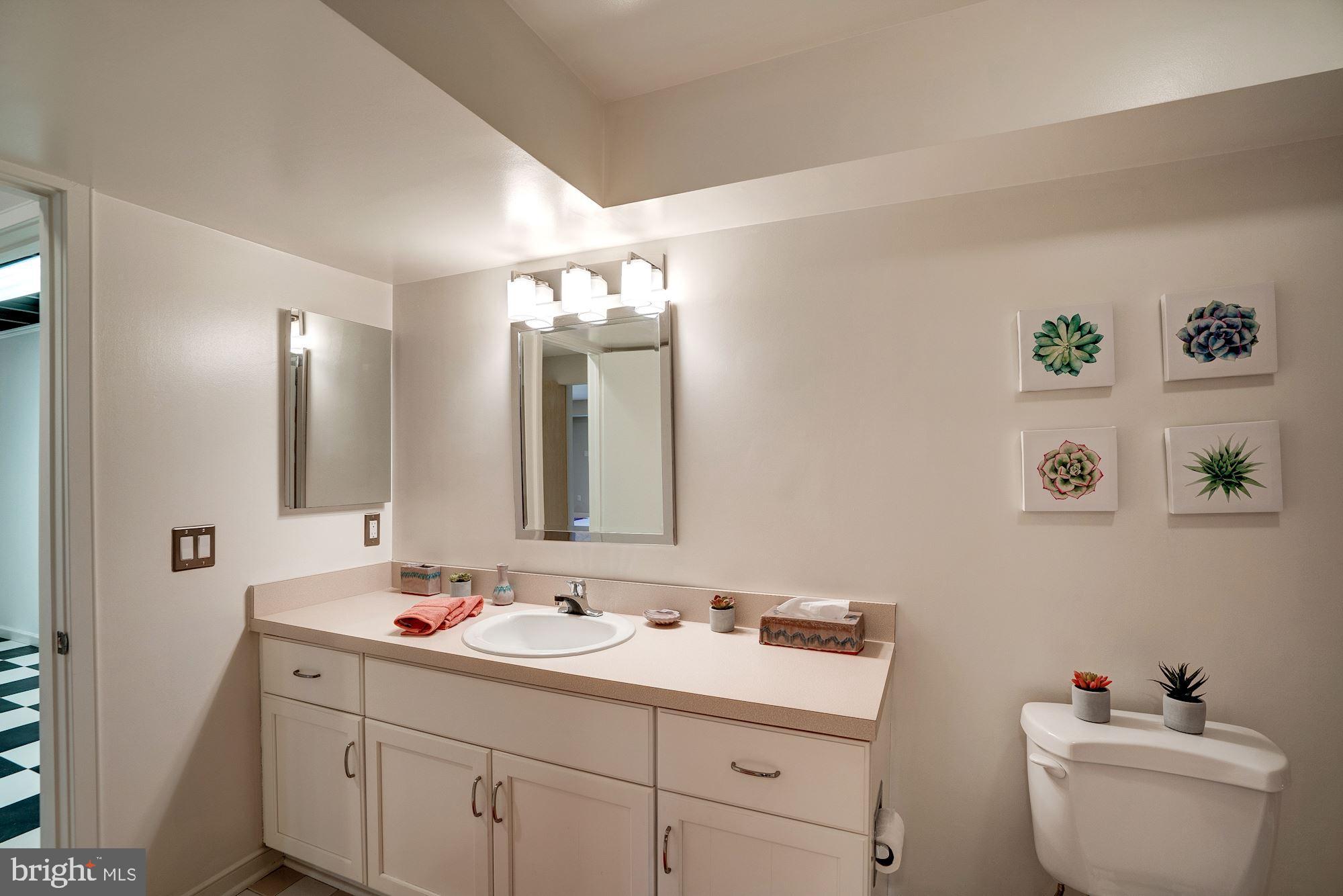 1466 Waterfront Road Reston, VA 20194 - Photo 38 of 69 Lower level bath