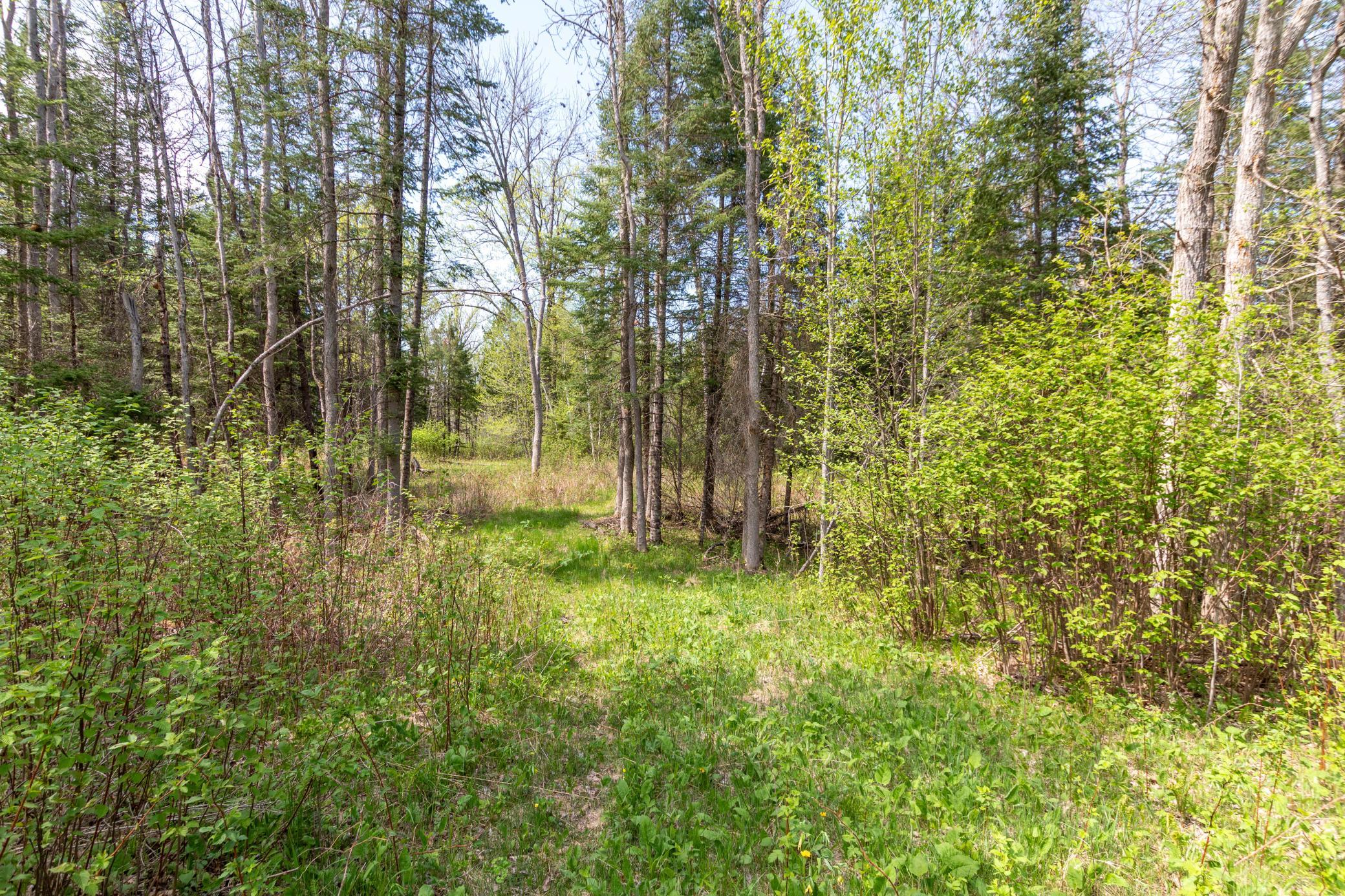 Tbd Tbd Stephani Road Northwest Puposky, MN 56667 - Photo 3 of 24
