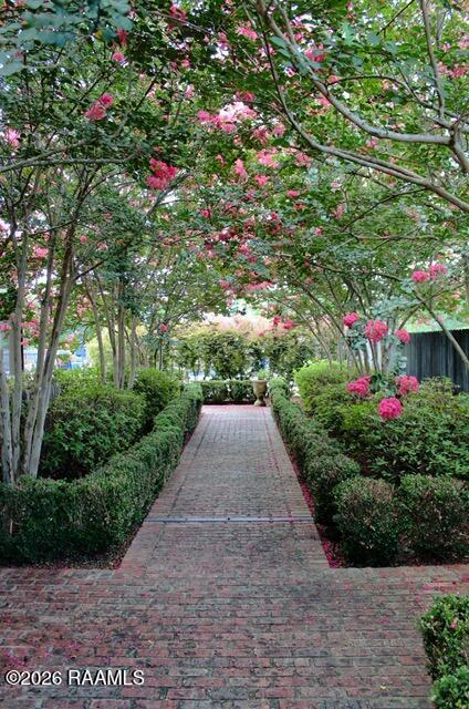 151 Channing Way Sunset, LA 70584 - Photo 7 of 60 garden edit 12