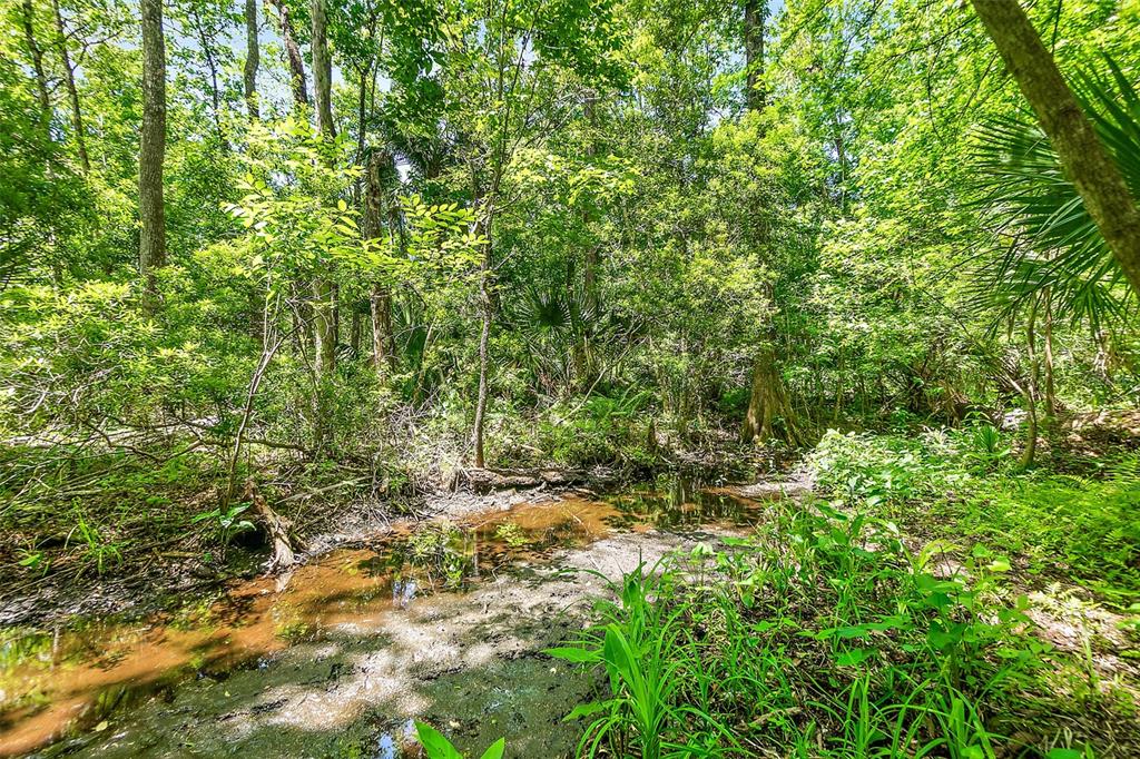 1370 Buckles Road Pierson, FL 32180 - Photo 47 of 57