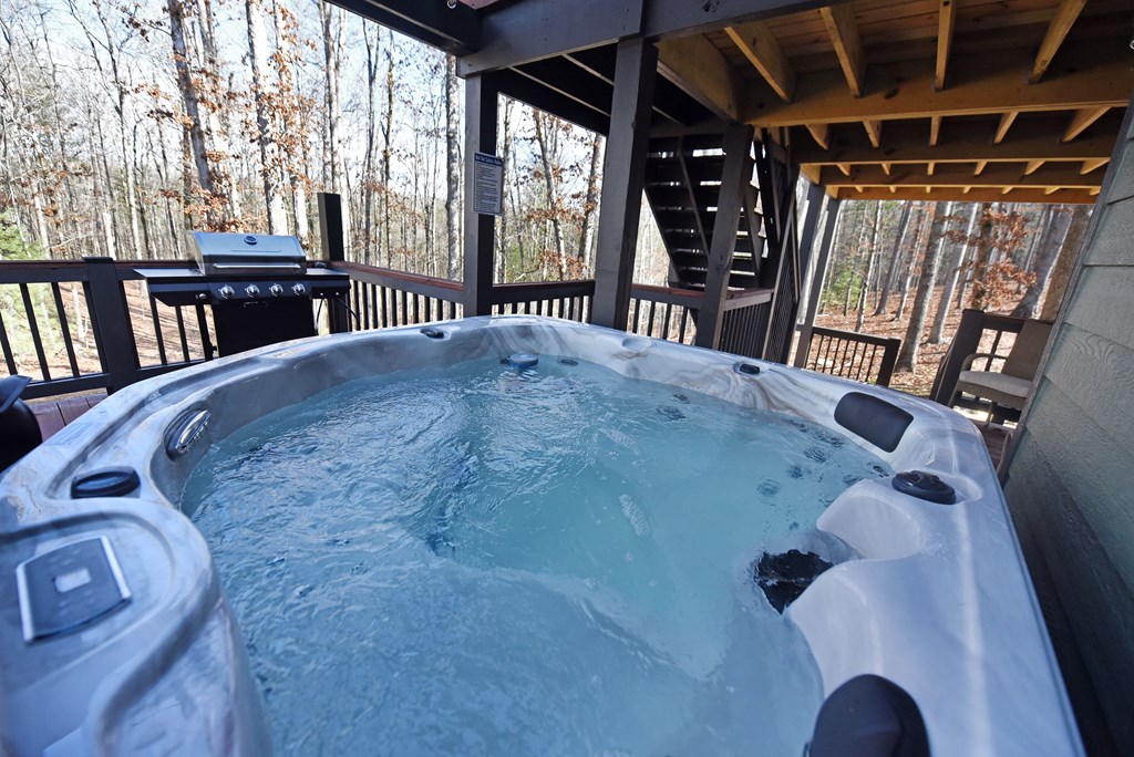 1008 Ridge Drive Morganton, GA 30560 - Photo 40 of 54 a view of livingroom with furniture and window