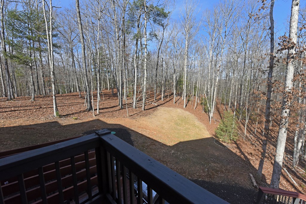 1008 Ridge Drive Morganton, GA 30560 - Photo 44 of 54