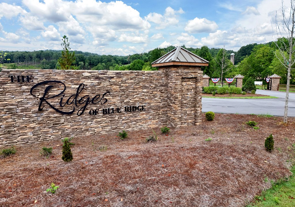 1008 Ridge Drive Morganton, GA 30560 - Photo 49 of 54 a view of a street with a bench in front of it
