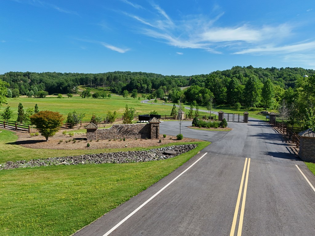 1008 Ridge Drive Morganton, GA 30560 - Photo 50 of 54 a view of a garden with an outdoor space