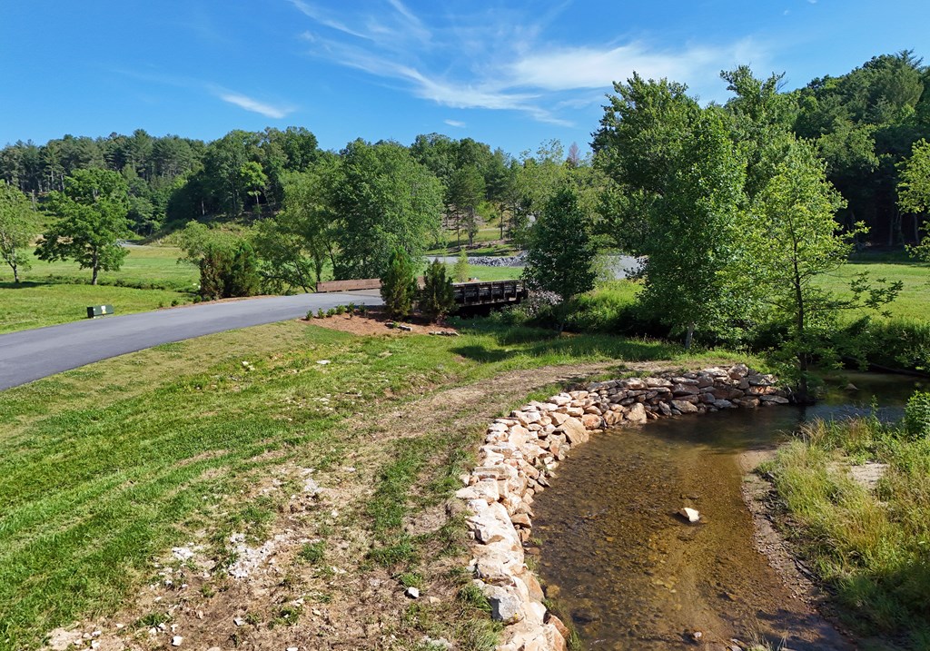 1008 Ridge Drive Morganton, GA 30560 - Photo 52 of 54 an aerial view of a house with a yard
