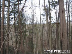 6 Foothills Road Asheville, NC 28804 - Photo 4 of 6 Gallery Image 4
