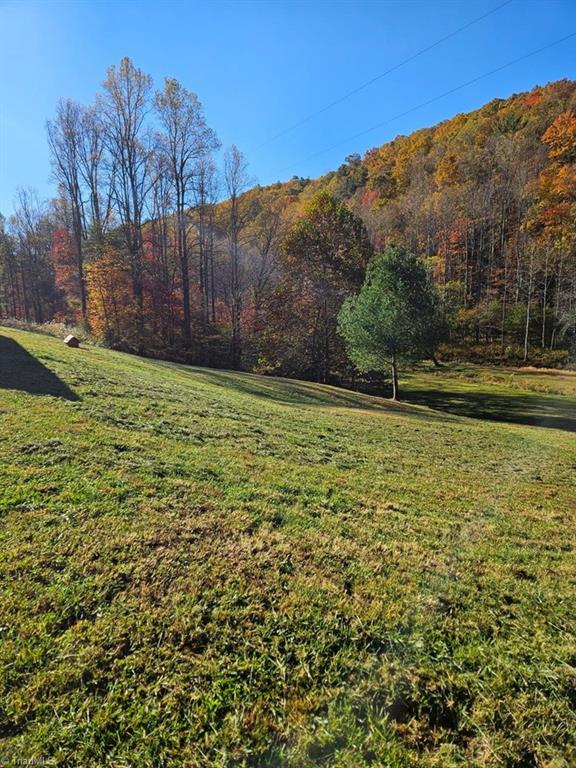 3205 Sheets Gap Road Millers Creek, NC 28651 - Photo 45 of 46