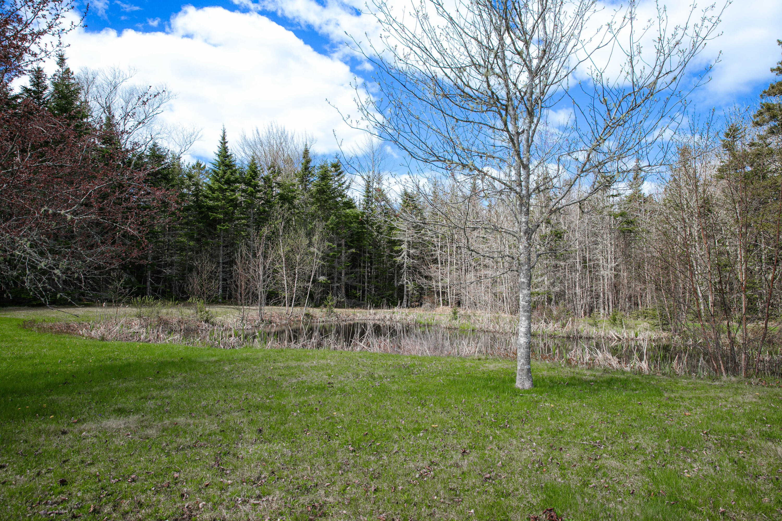 10 Spruce Reach Gouldsboro, ME 04607 - Photo 75 of 80 _D4A1671
