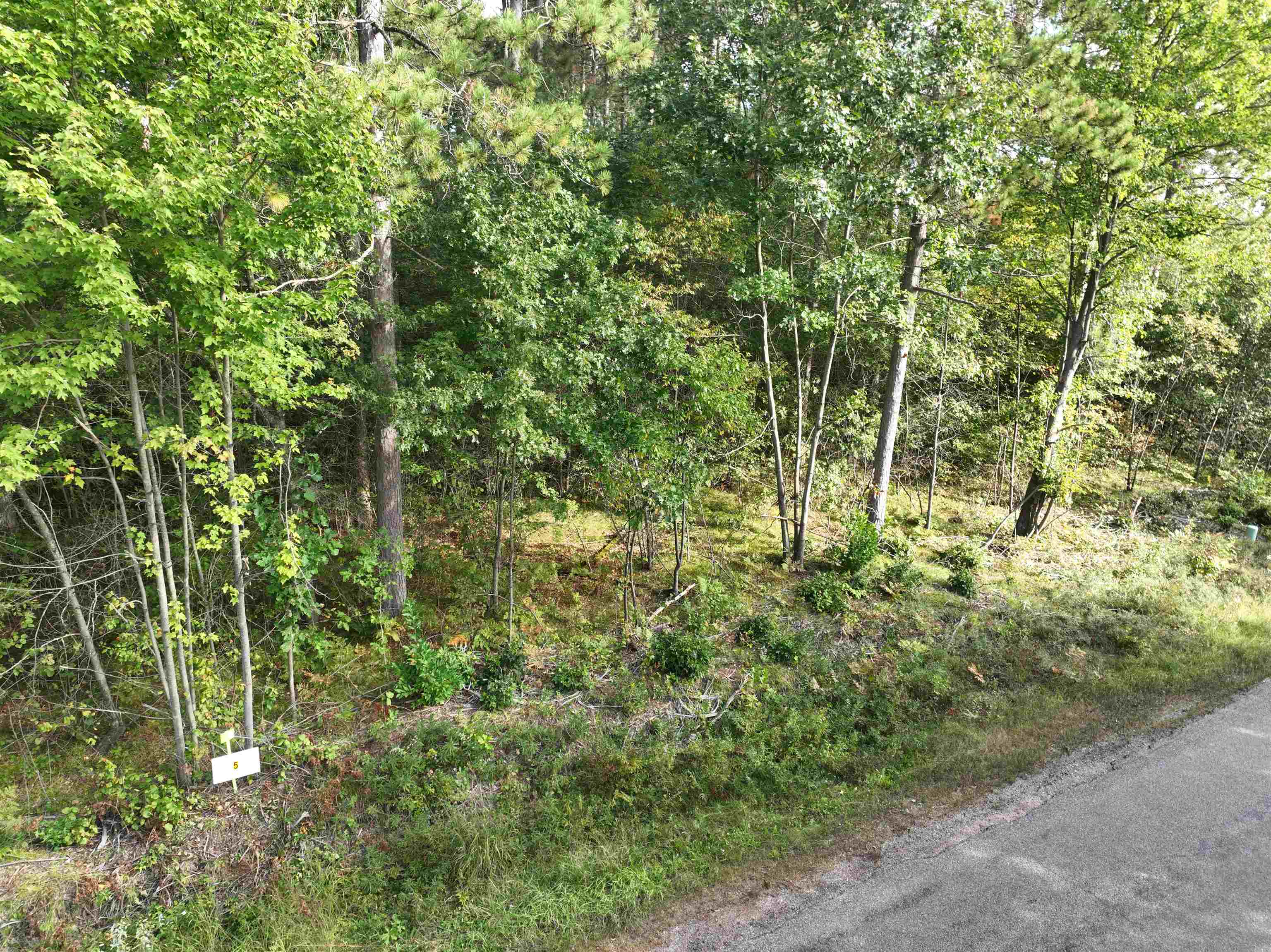 Lot 5 Scout Road Mosinee, WI 54455 - Photo 7 of 9 Gallery Image 7