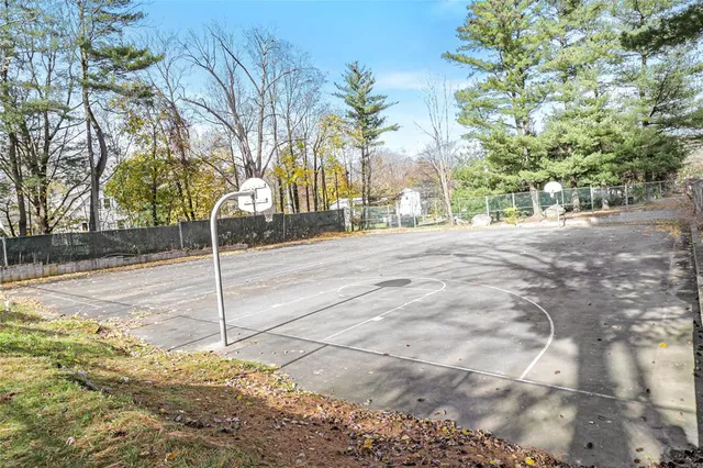 a view of a yard with plants and trees