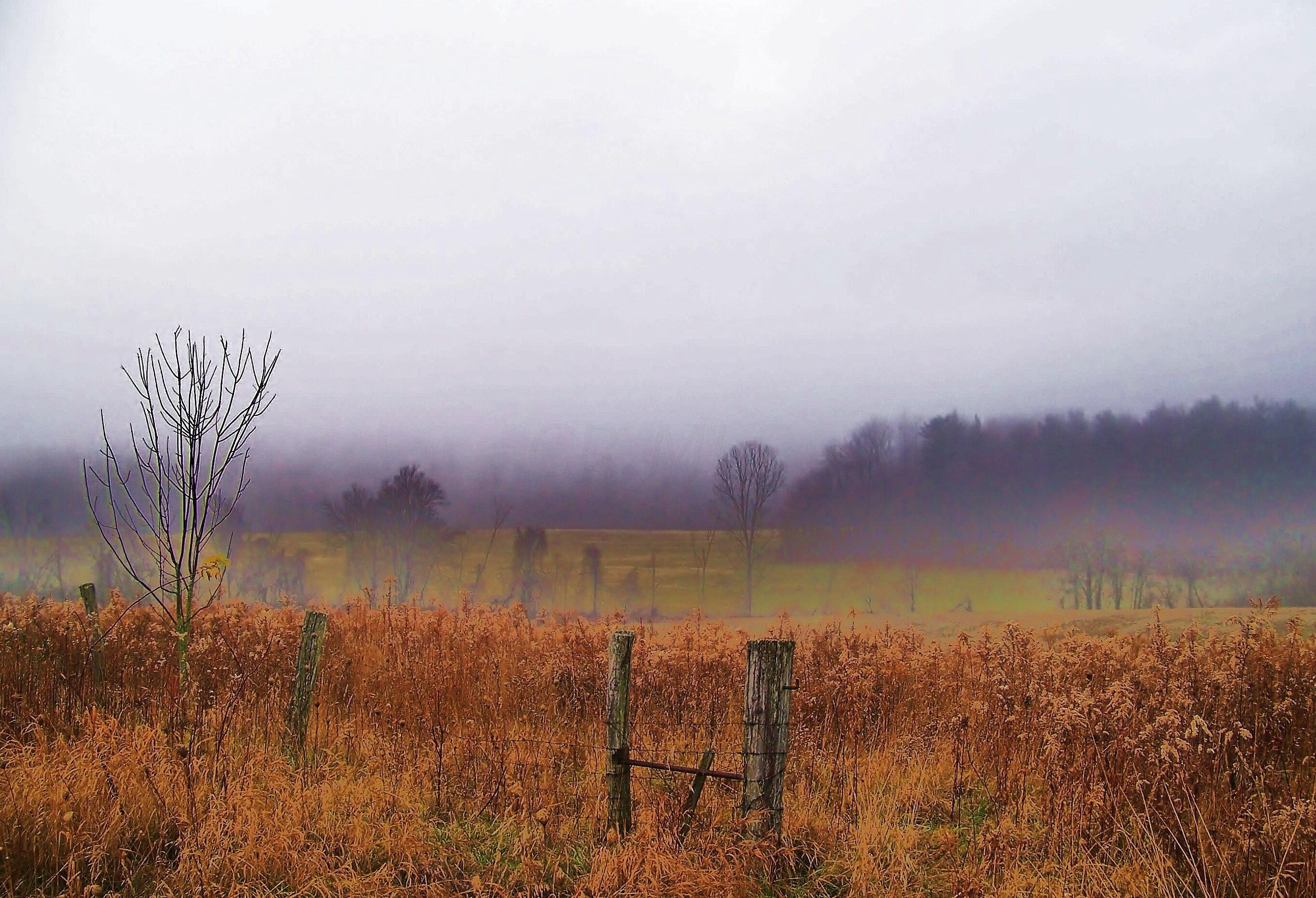 8463 Preston Road Newark, OH 43055 - Photo 20 of 66 fence field fog