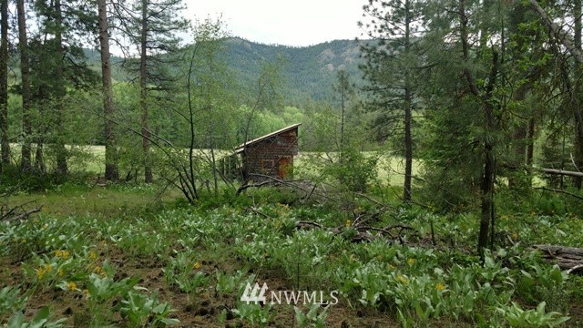50 Elmer Road Twisp, WA 98856 - Photo 3 of 13 Gallery Image 3