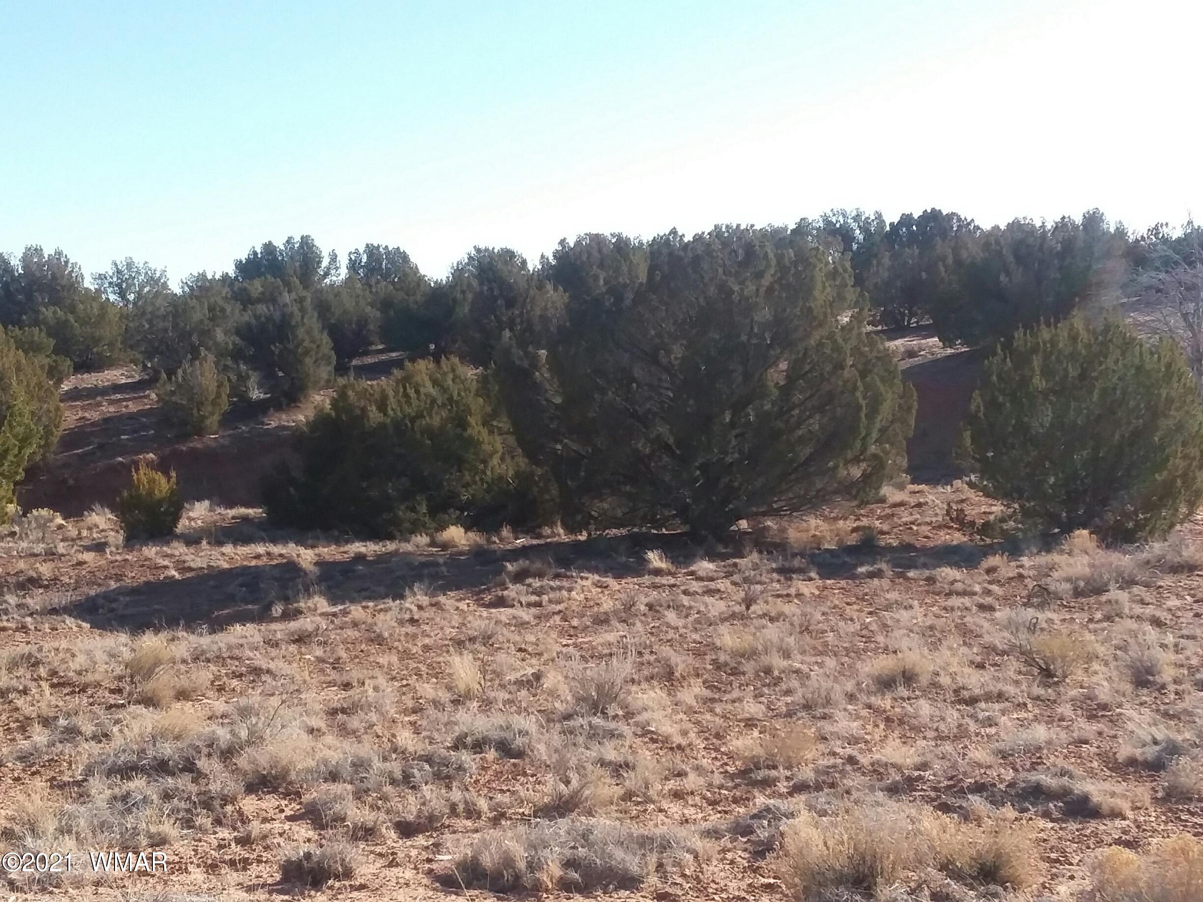 Lot 198 Red Sky Ranch St. Johns, AZ 85936 - Photo 1 of 5