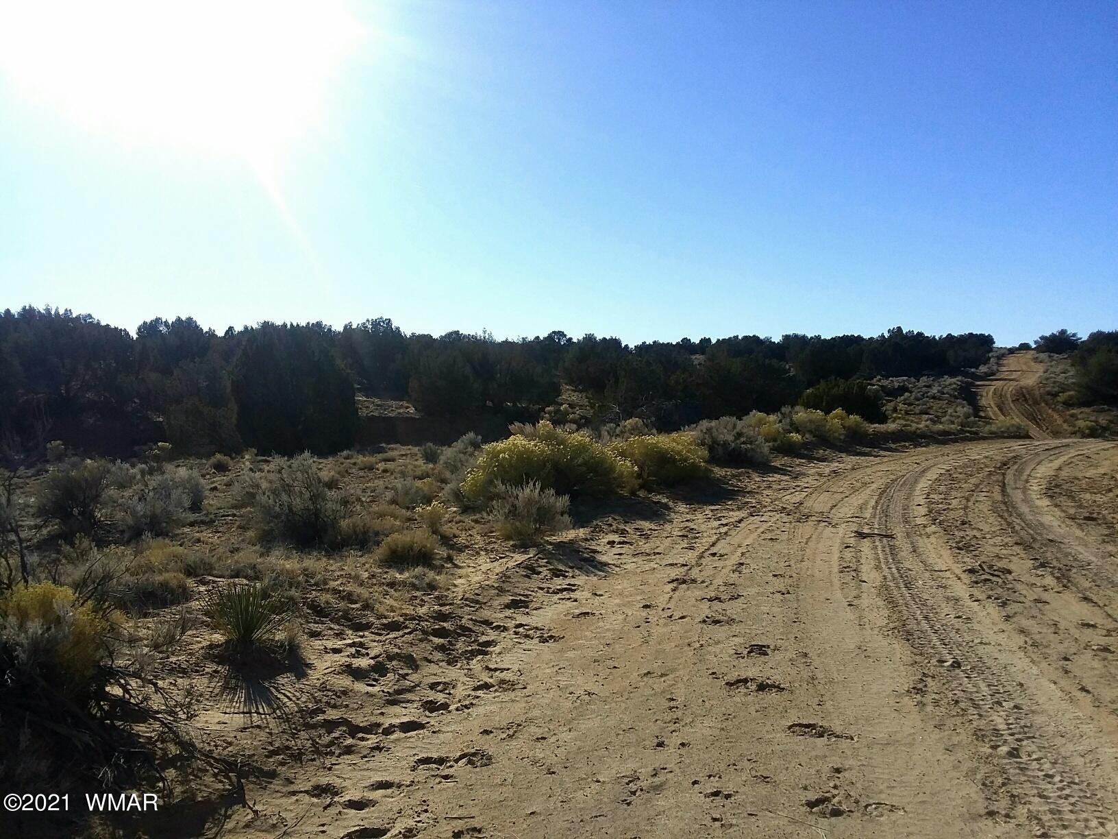 Lot 198 Red Sky Ranch St. Johns, AZ 85936 - Photo 2 of 5