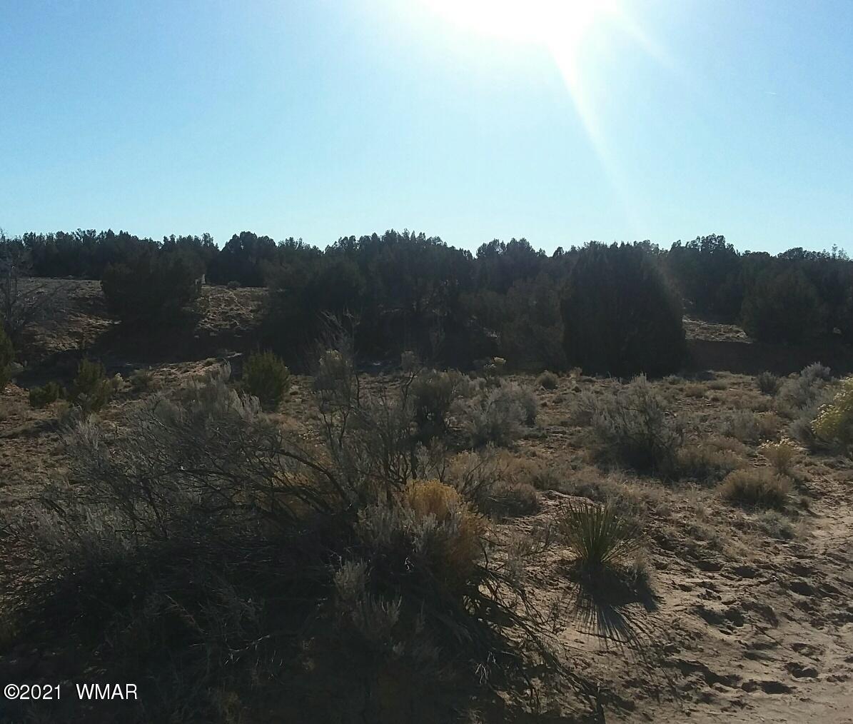 Lot 198 Red Sky Ranch St. Johns, AZ 85936 - Photo 3 of 5