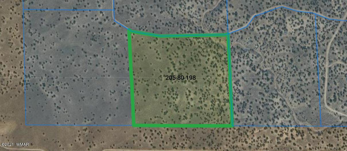 Lot 198 Red Sky Ranch St. Johns, AZ 85936 - Photo 4 of 5