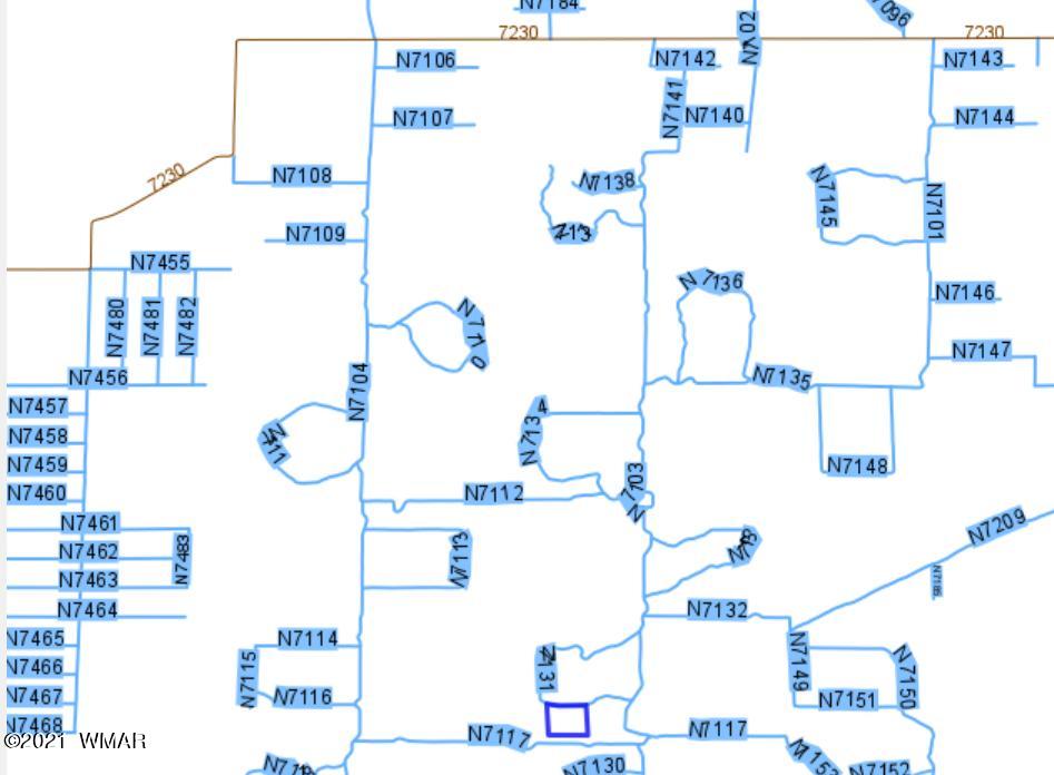 Lot 198 Red Sky Ranch St. Johns, AZ 85936 - Photo 5 of 5