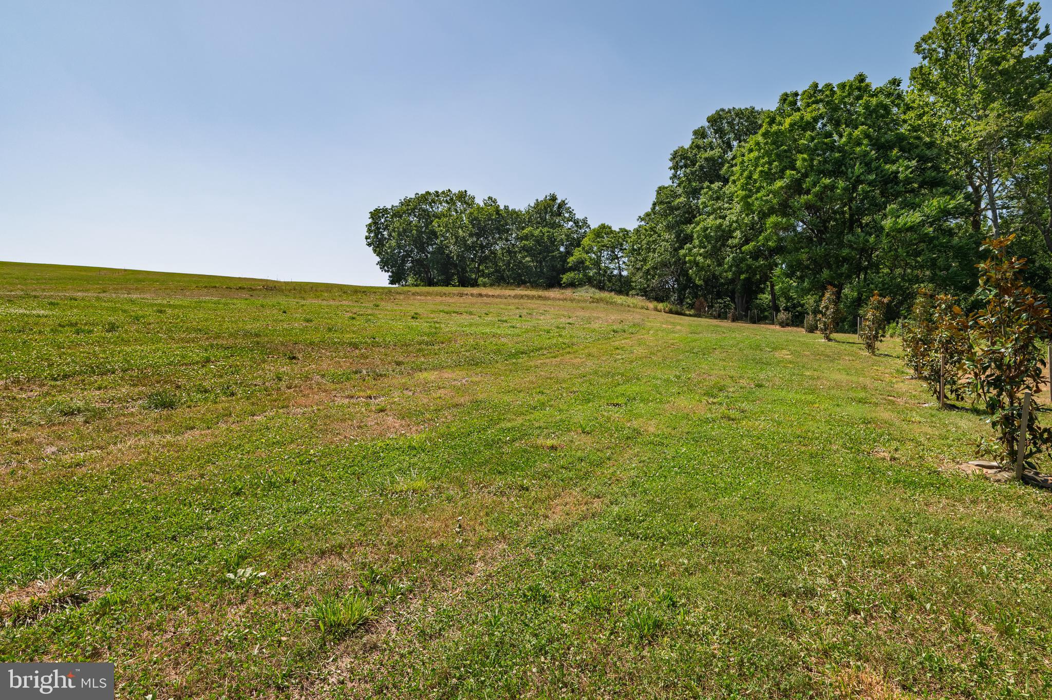 3150 Bidle Road Middletown, MD 21769 - Photo 81 of 93 Gallery Image 81
