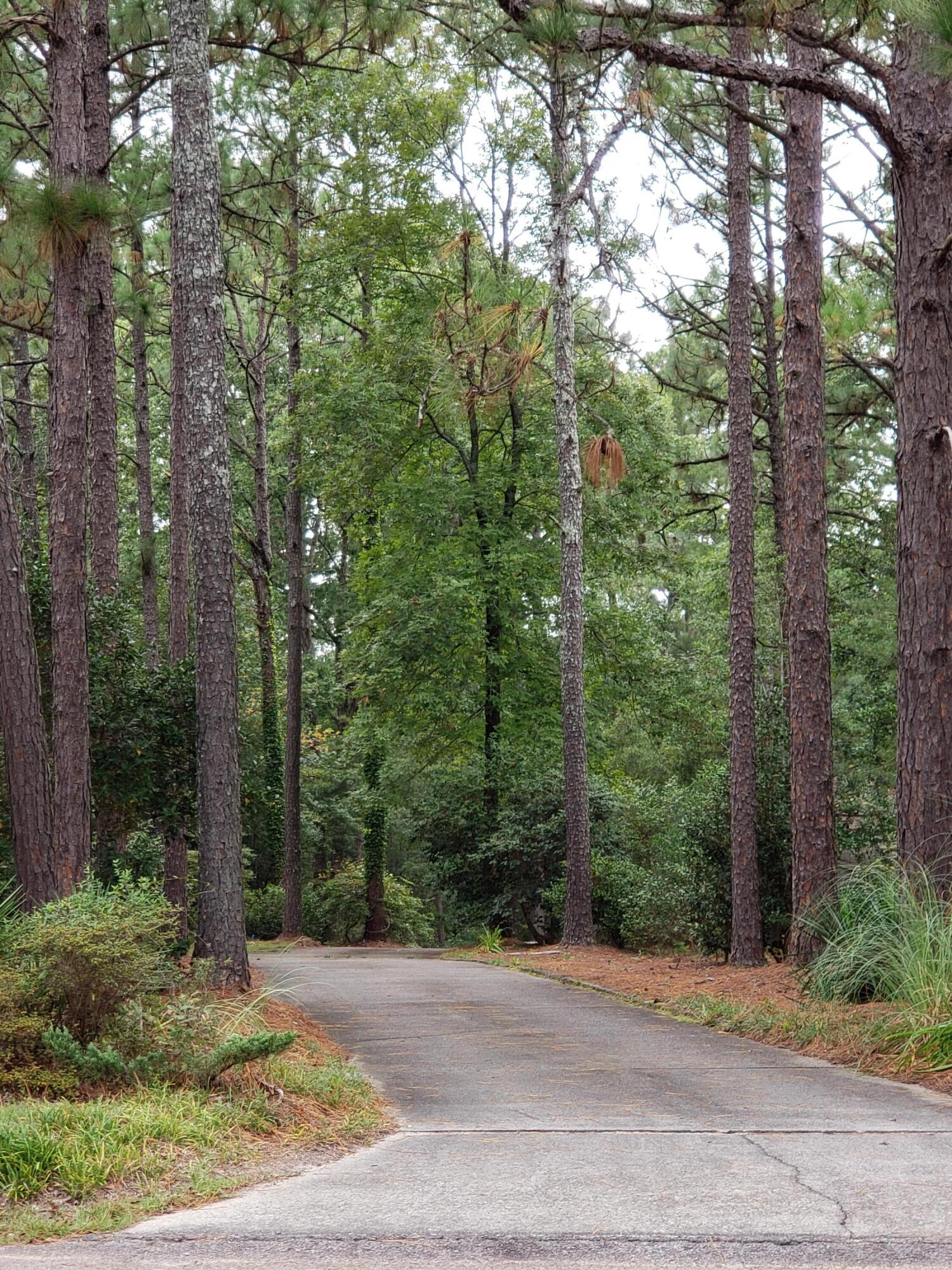 2139 Trail Point Aiken, SC 29803 - Photo 3 of 32 Gallery Image 3