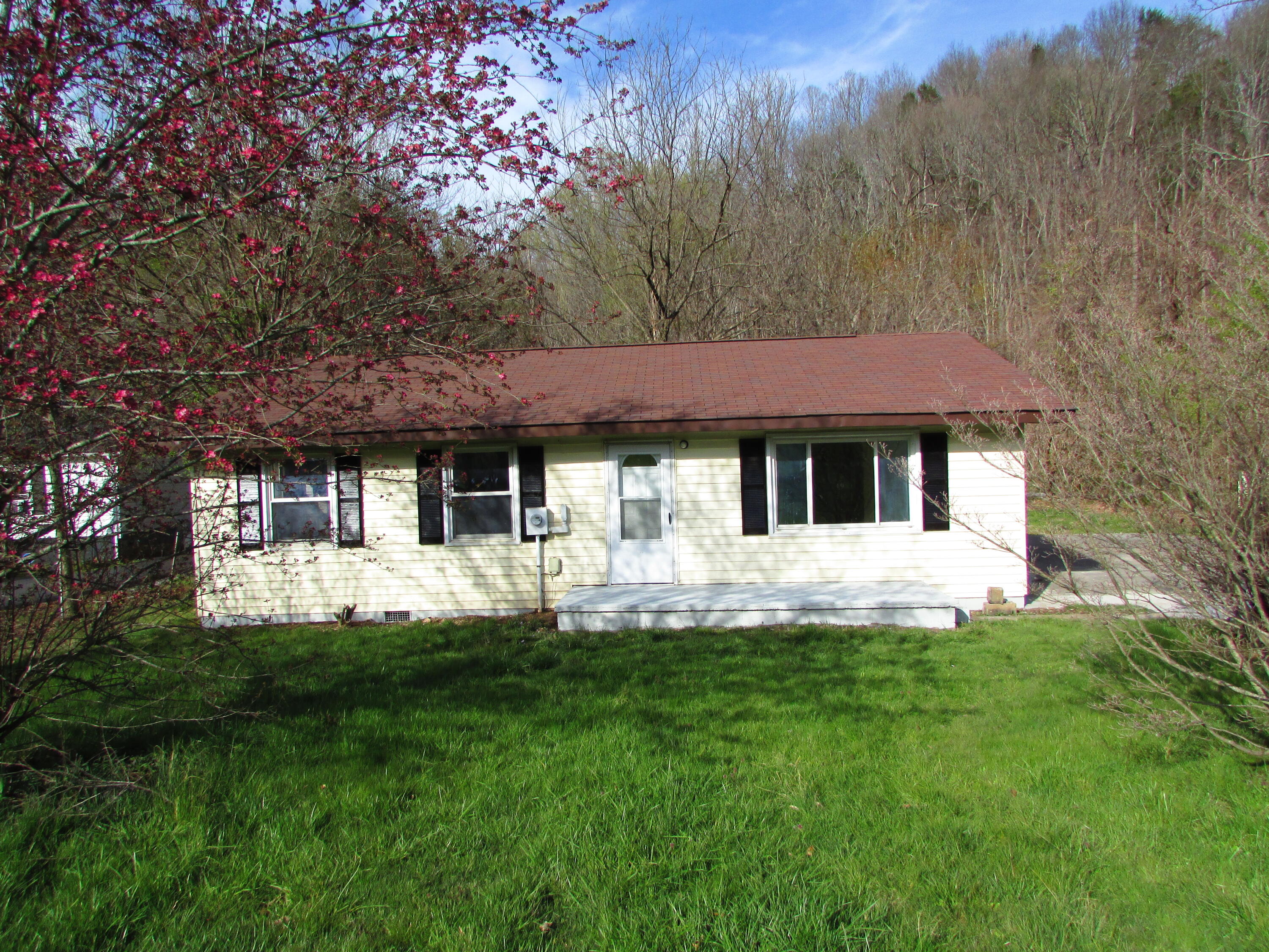 535 Laurels Road Johnson City, TN 37601 - Photo 1 of 23 IMG_2239