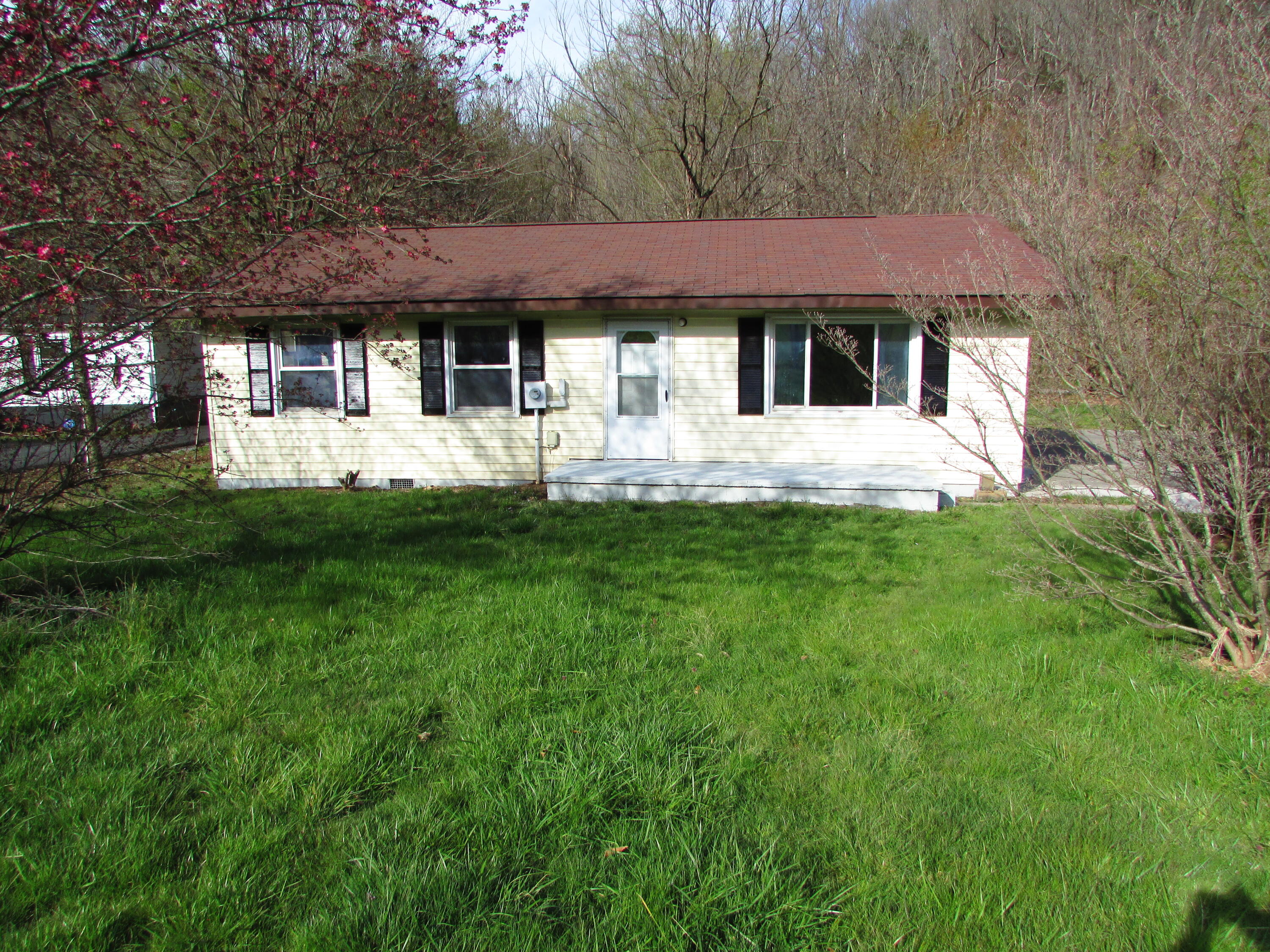 535 Laurels Road Johnson City, TN 37601 - Photo 2 of 23 IMG_2238