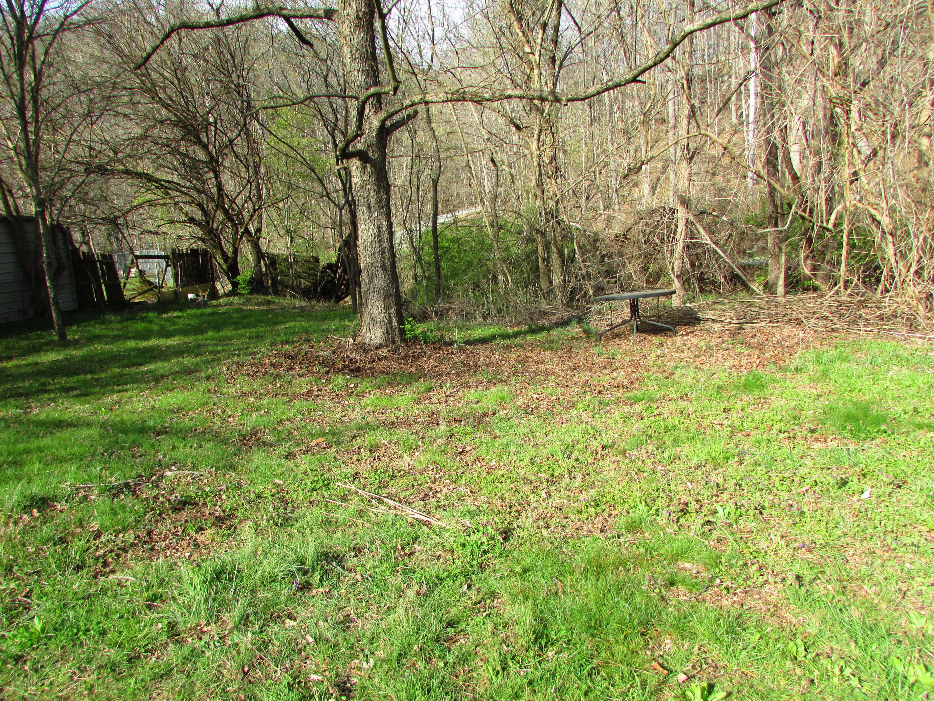 535 Laurels Road Johnson City, TN 37601 - Photo 4 of 23 IMG_2244