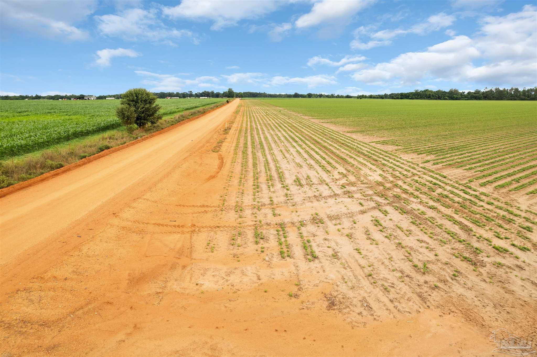 0 Old Stage Road Repton, AL 36475 - Photo 26 of 27