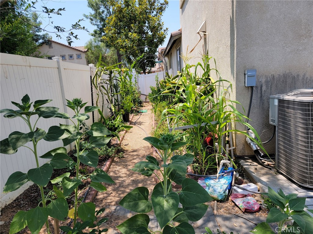 1662 Palermo Drive Riverside, CA 92507 - Photo 16 of 30 a plant that is in front of a building