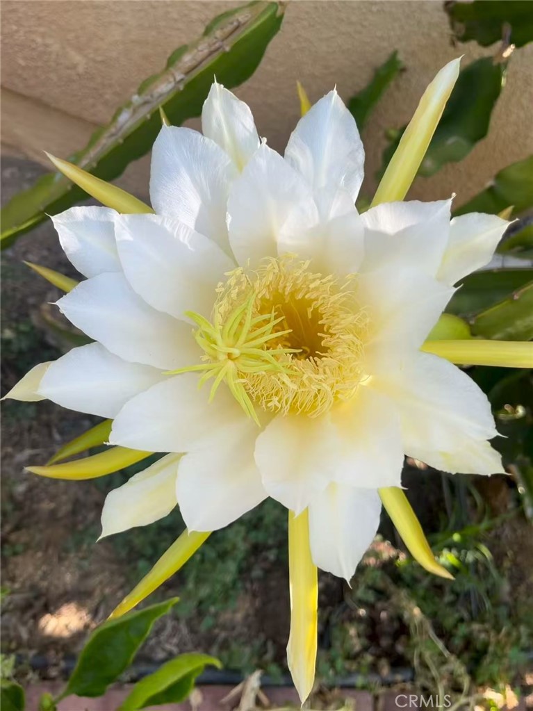 1662 Palermo Drive Riverside, CA 92507 - Photo 23 of 30 a view of an outdoor space and seating area