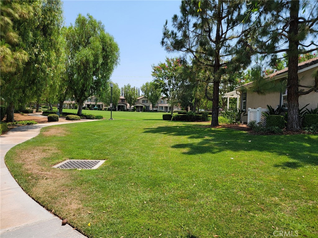 1662 Palermo Drive Riverside, CA 92507 - Photo 27 of 30 a view of a park with large trees