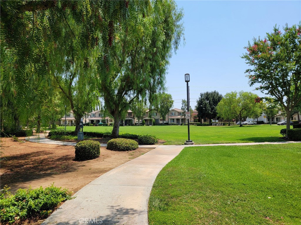1662 Palermo Drive Riverside, CA 92507 - Photo 28 of 30 a view of a park with tree s