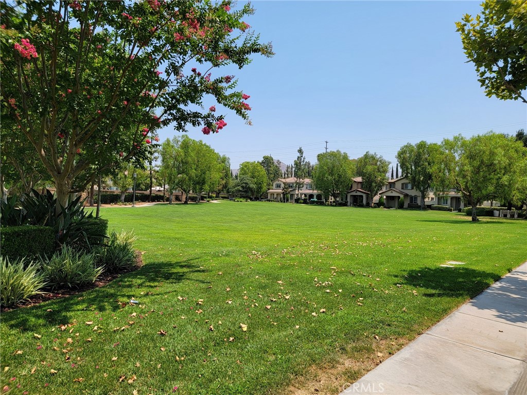 1662 Palermo Drive Riverside, CA 92507 - Photo 29 of 30 a view of a trees with a big yard