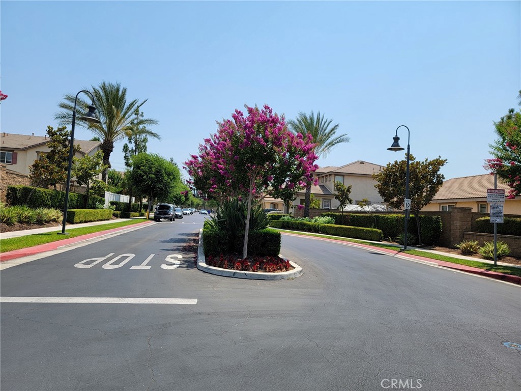 1662 Palermo Drive Riverside, CA 92507 - Photo 30 of 30 a view of a swimming pool with a yard and palm trees