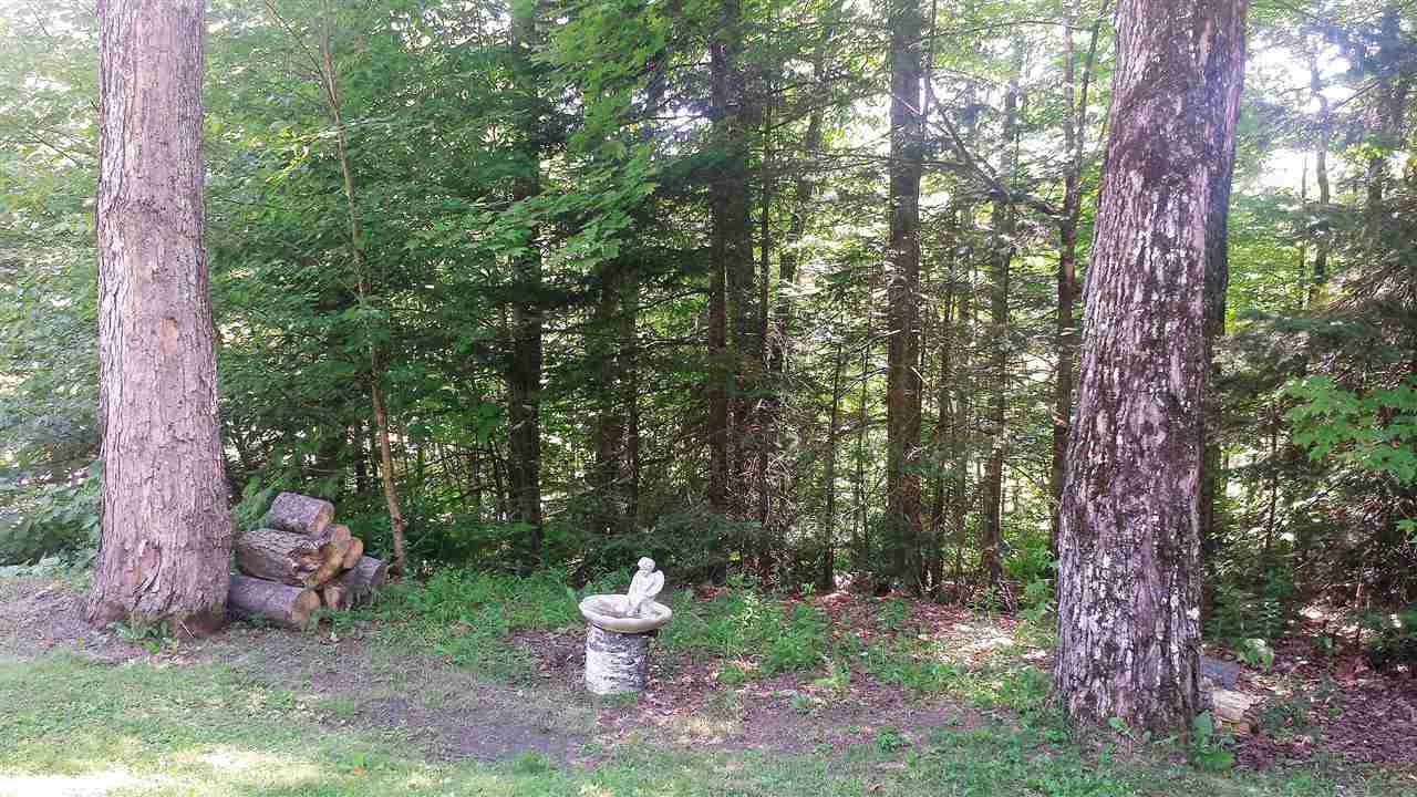 144 Slawson Road Weston, VT 05161 - Photo 7 of 24