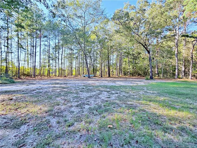 a view of outdoor space with deck and trees