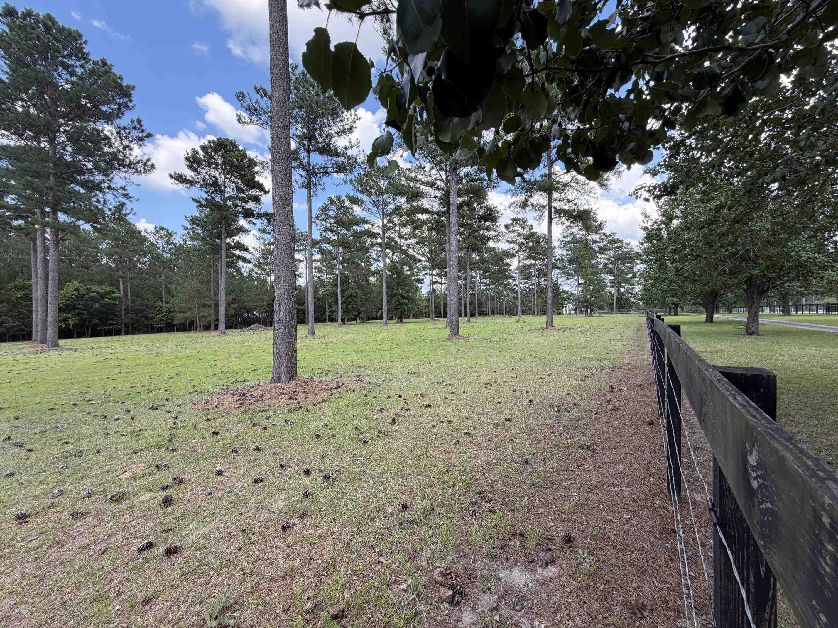 3126 Fairbanks Ferry Road Havana, FL 32333 - Photo 3 of 30