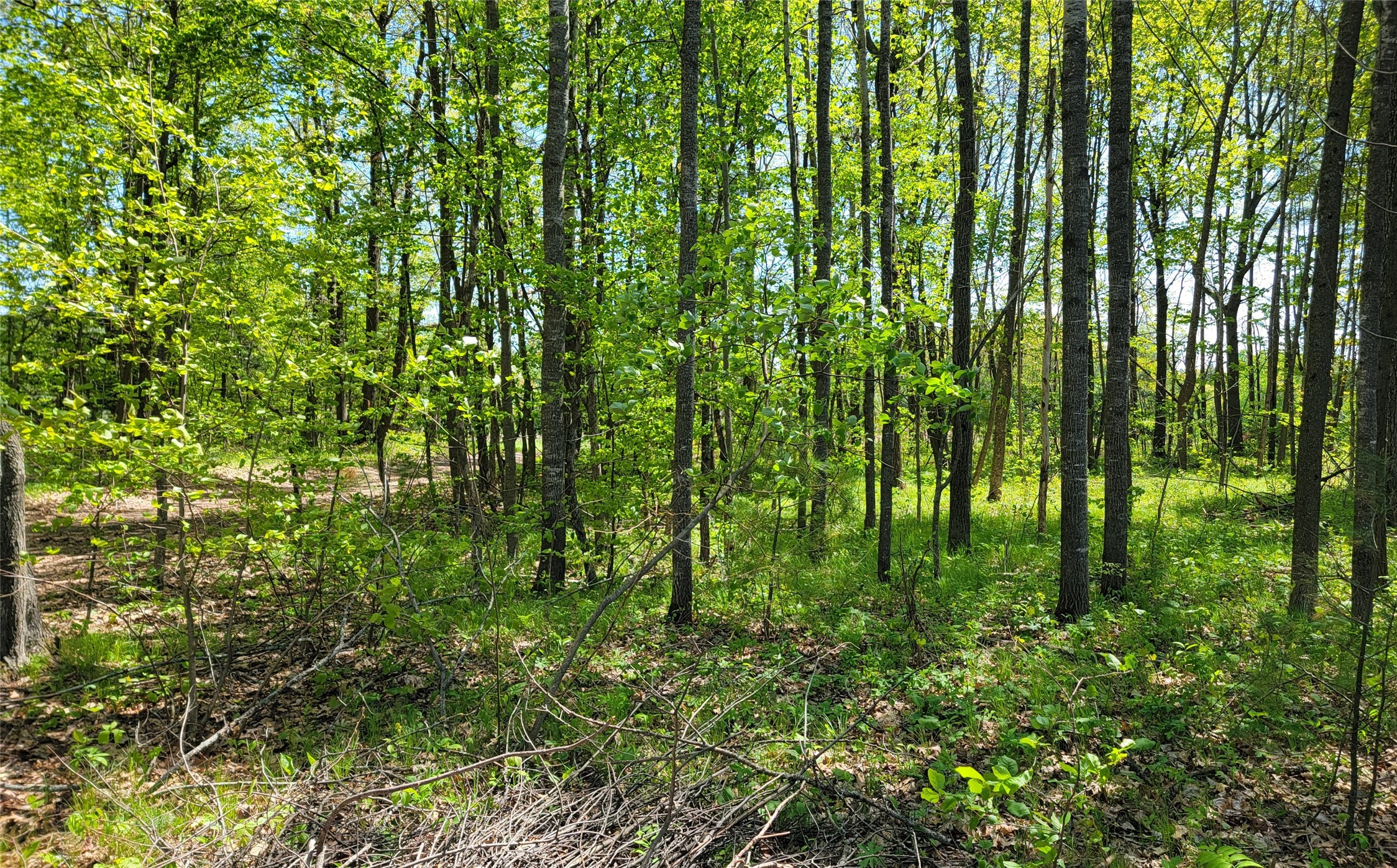 5154 County Road X Webster, WI 54893 - Photo 31 of 34